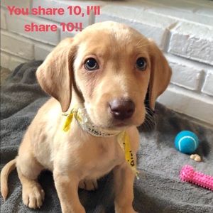 Scarlett says, “let’s share the love!”